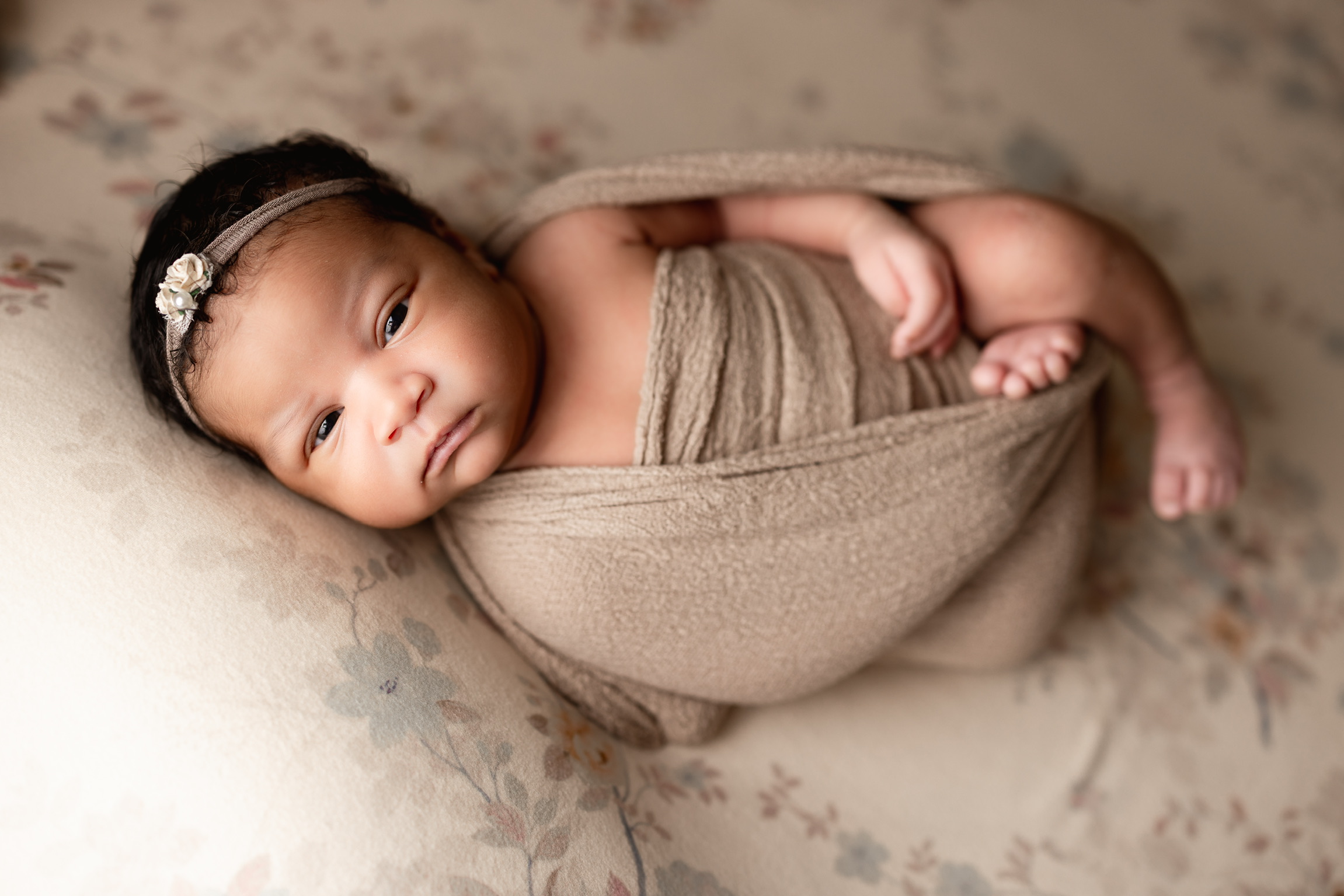 Newborn photography Tampa FL