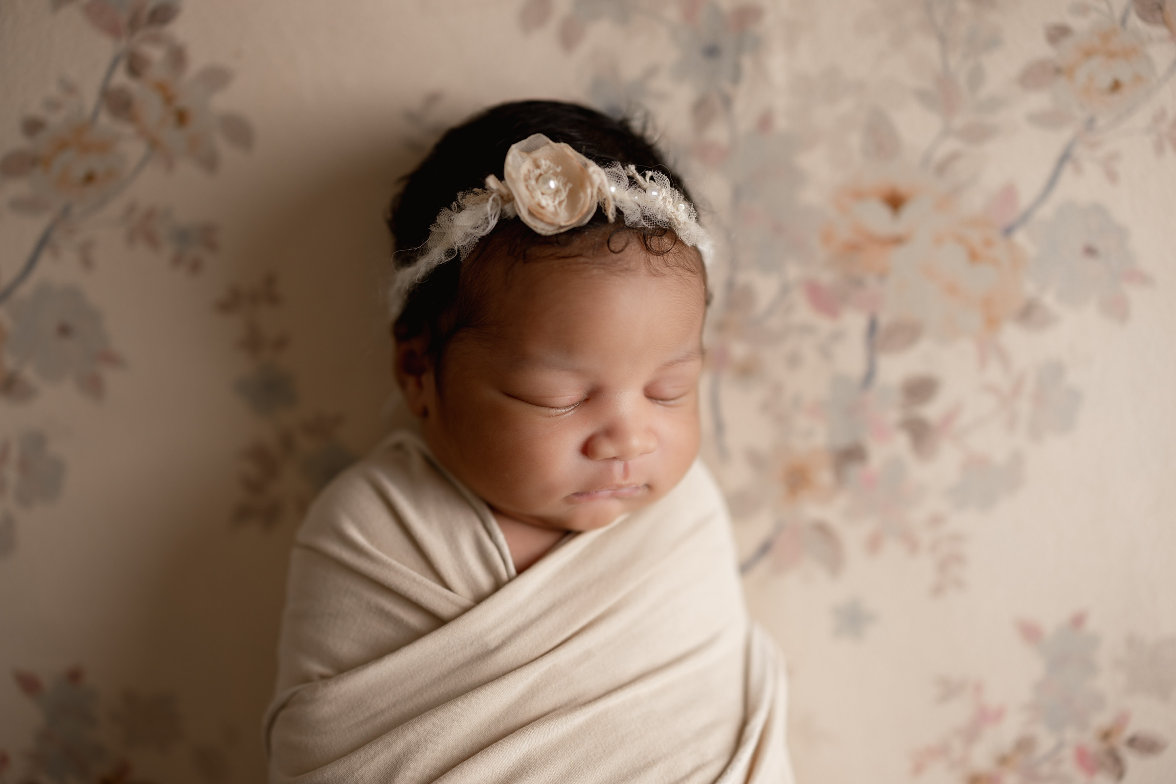 Newborn photography Tampa FL